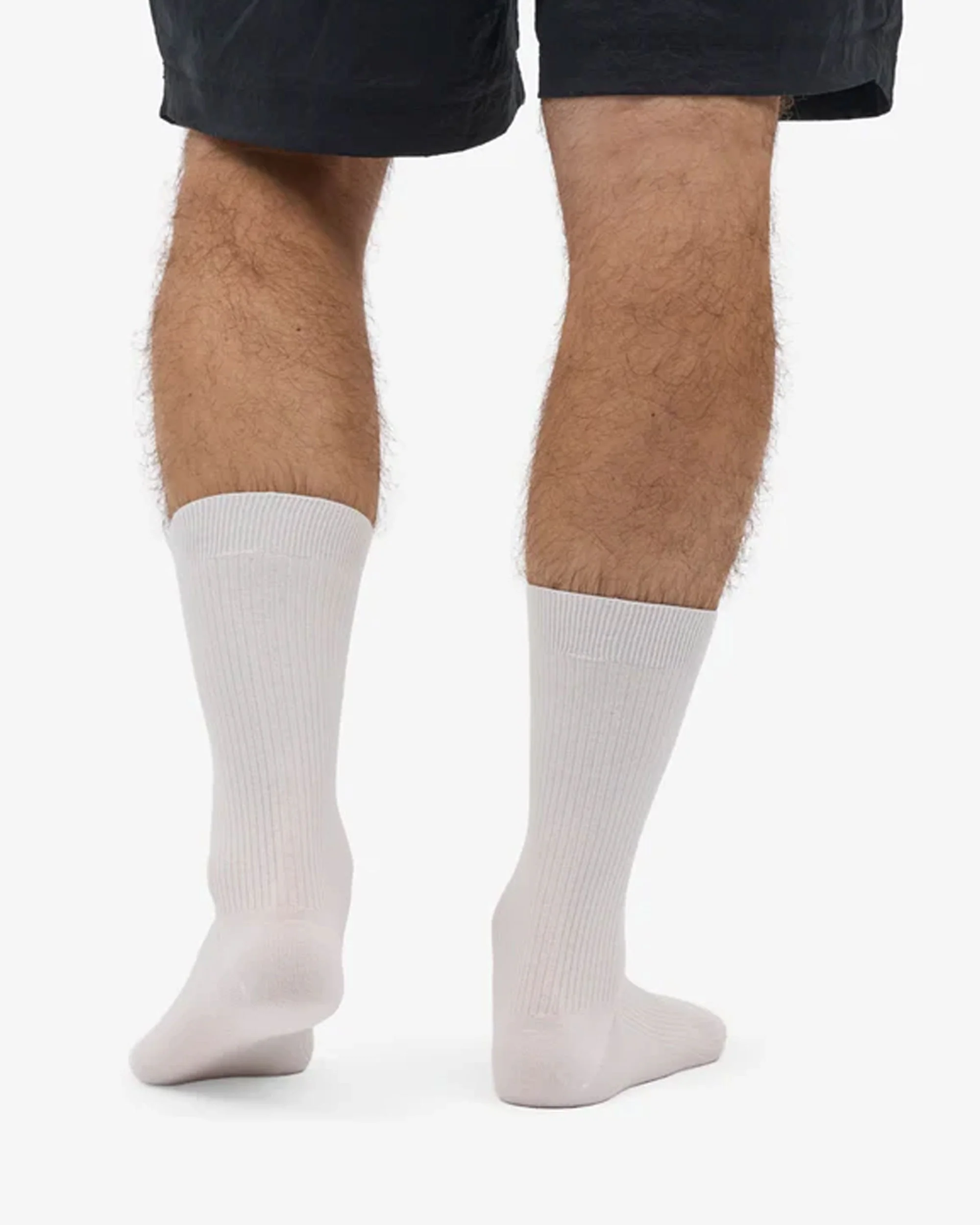 Classic Organic Sock - Optical White - Image 3