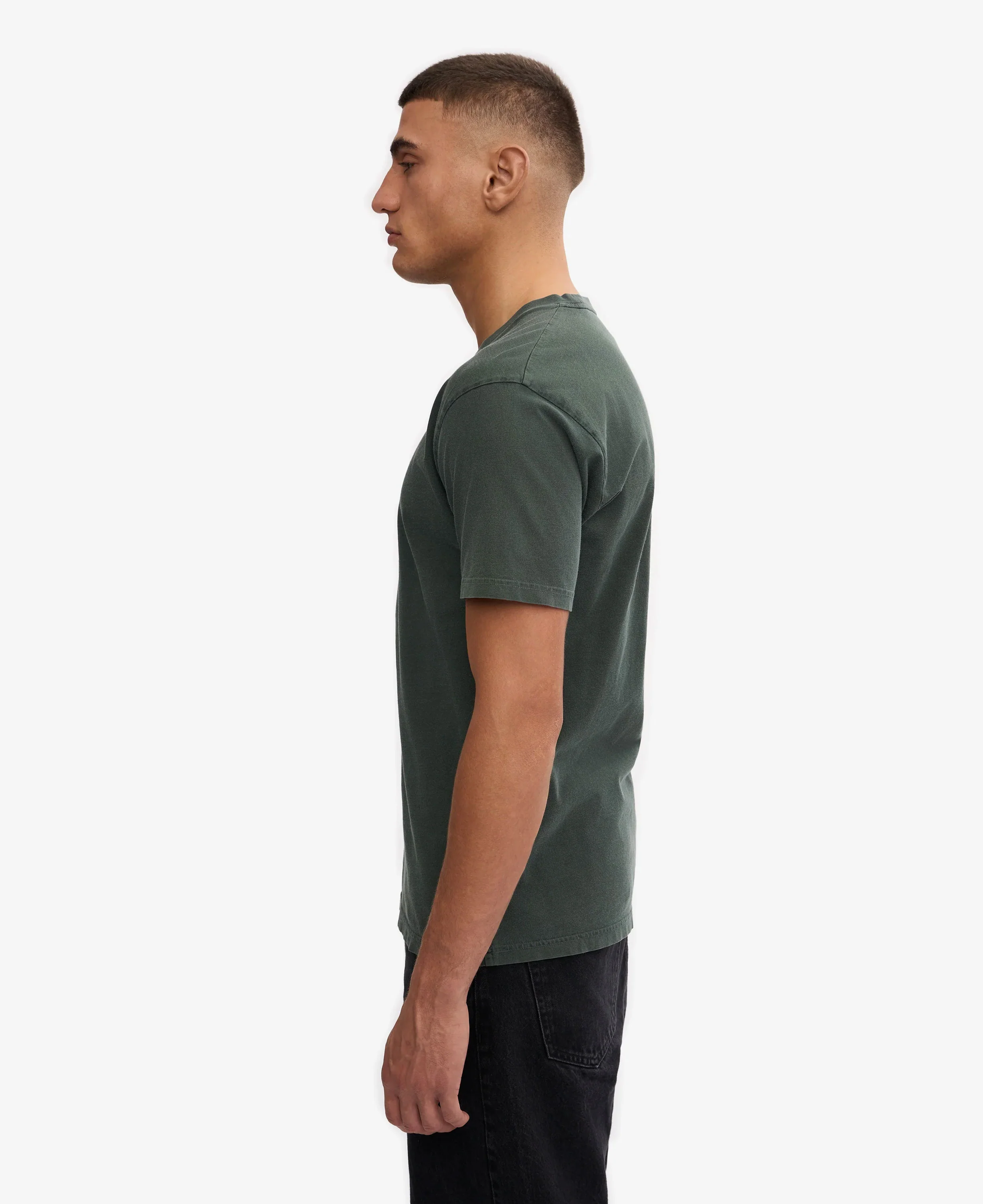 Classic Organic Tee - Midnight Forest - Image 3