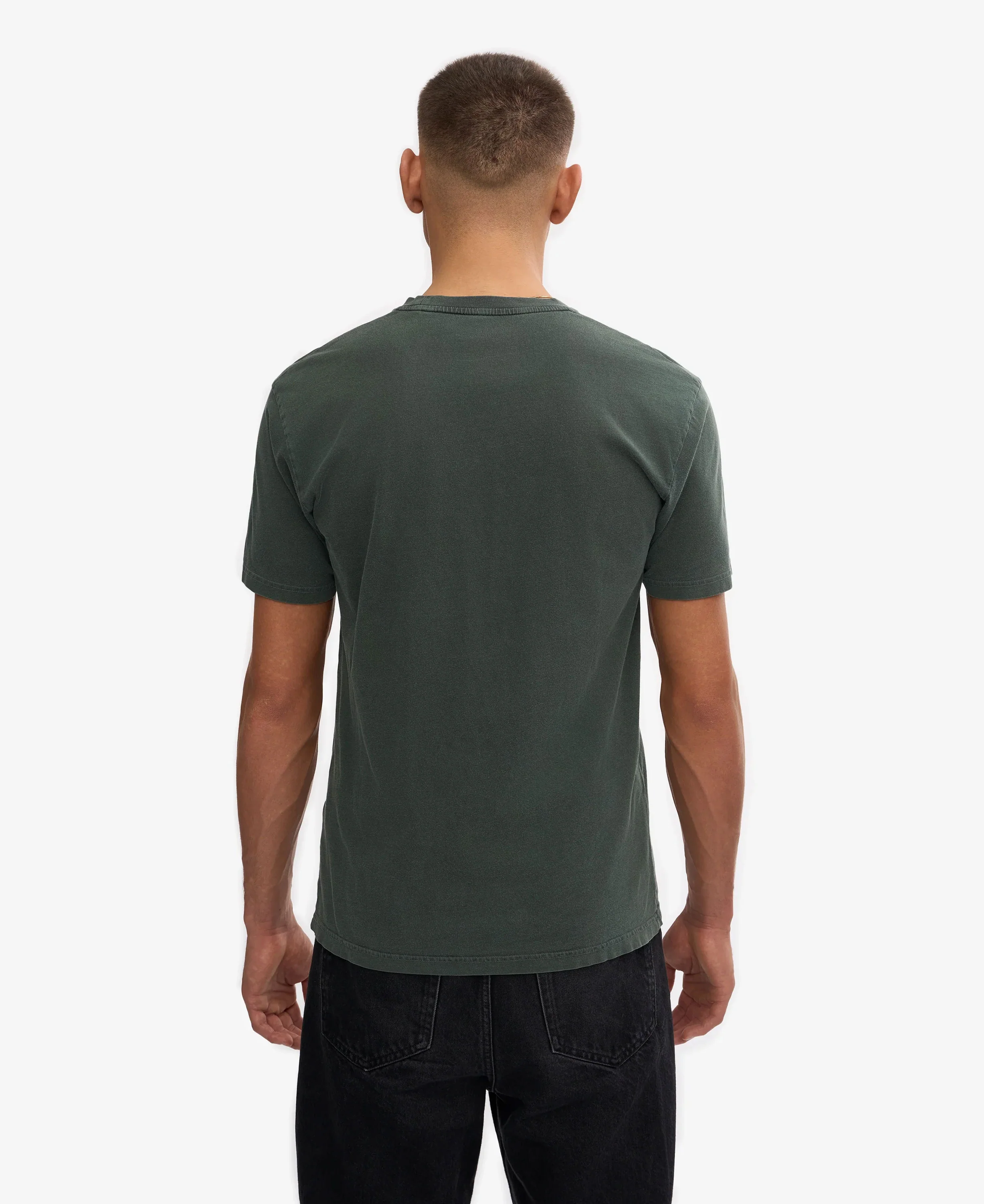 Classic Organic Tee - Midnight Forest - Image 4
