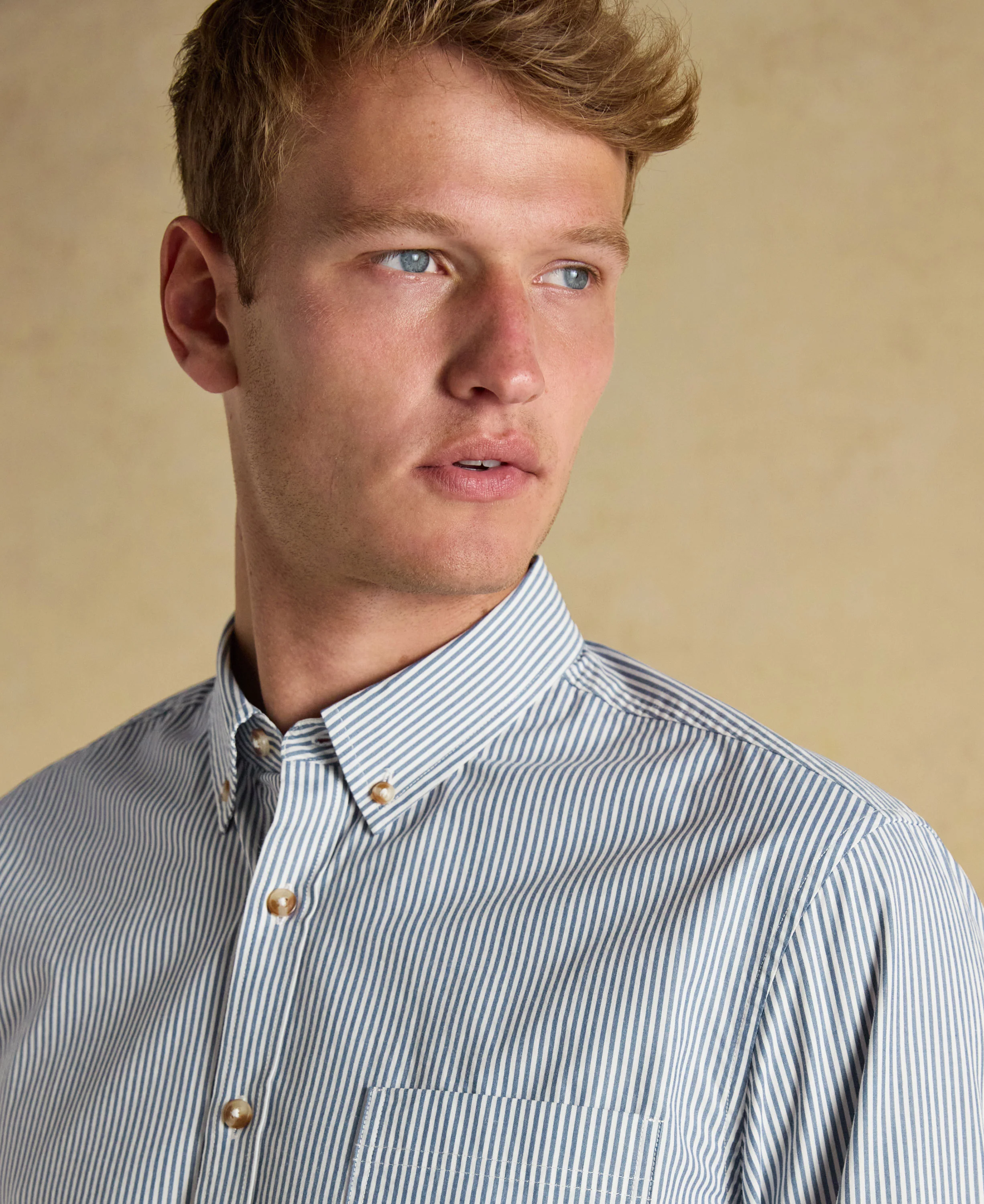 Classic Poplin Stripe Shirt - Navy - Image 6