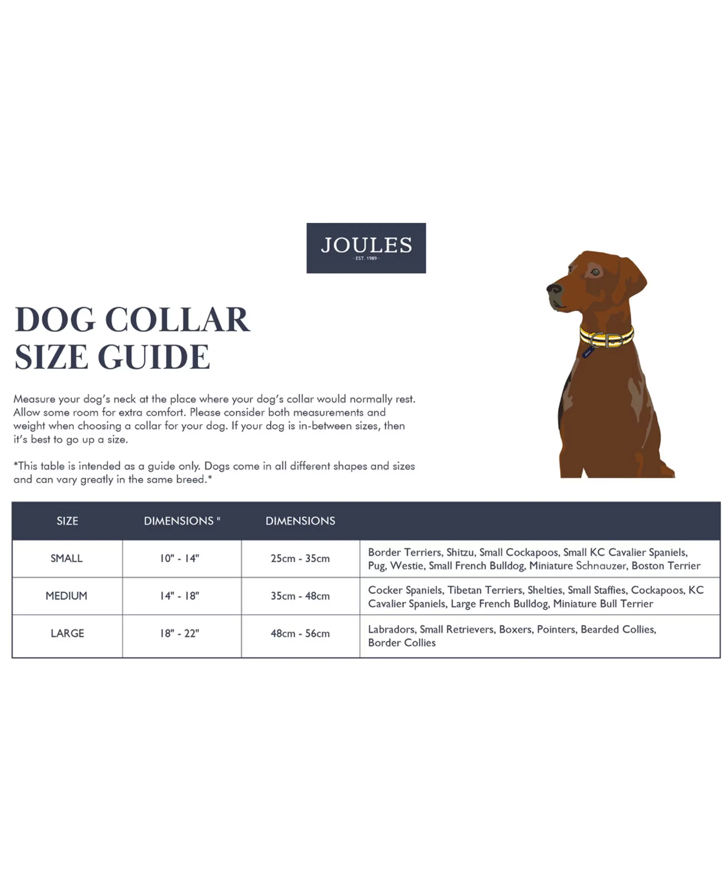 Leather Collar Large - Navy - Image 5