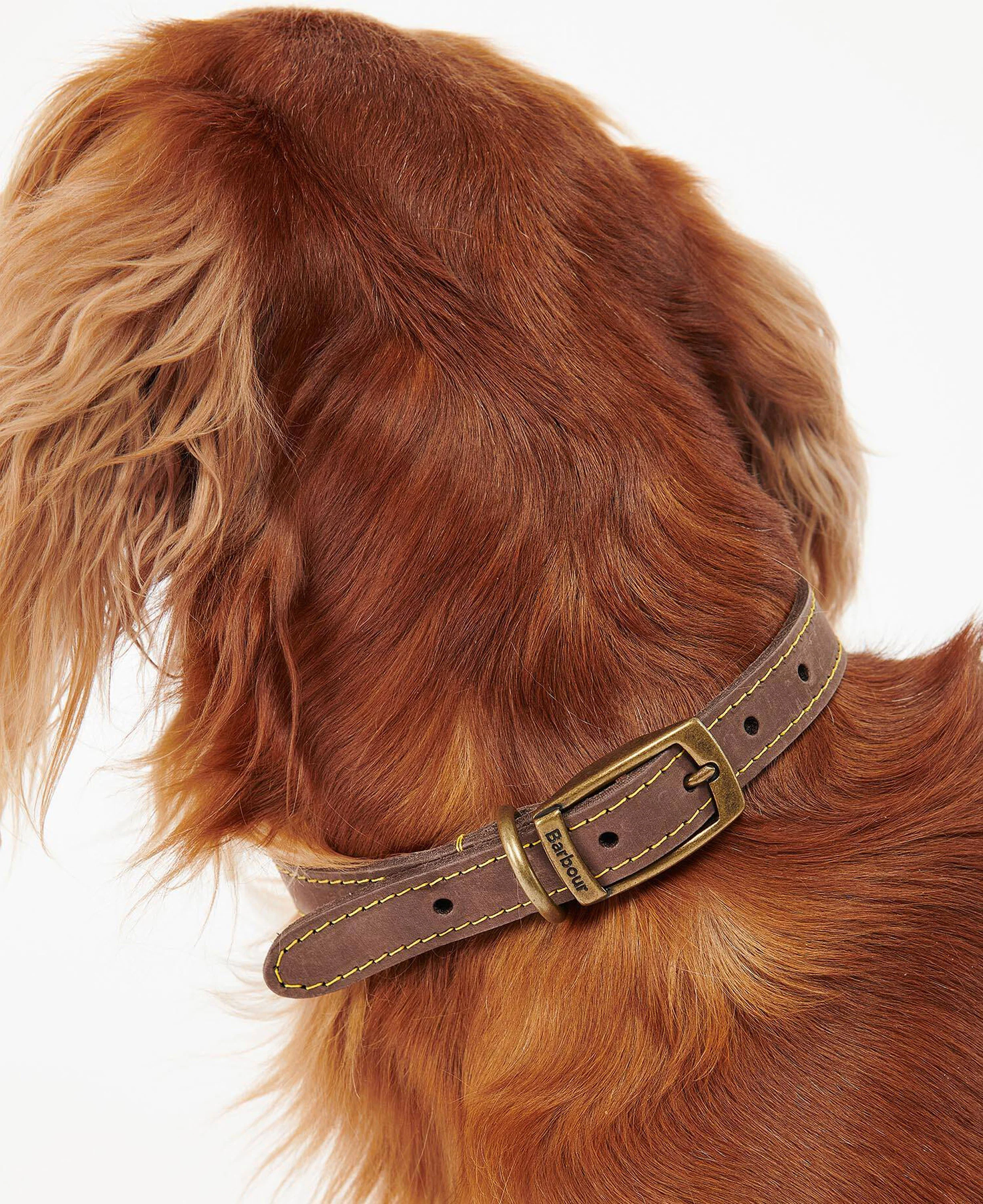 Leather Dog Collar - Brown - Image 5