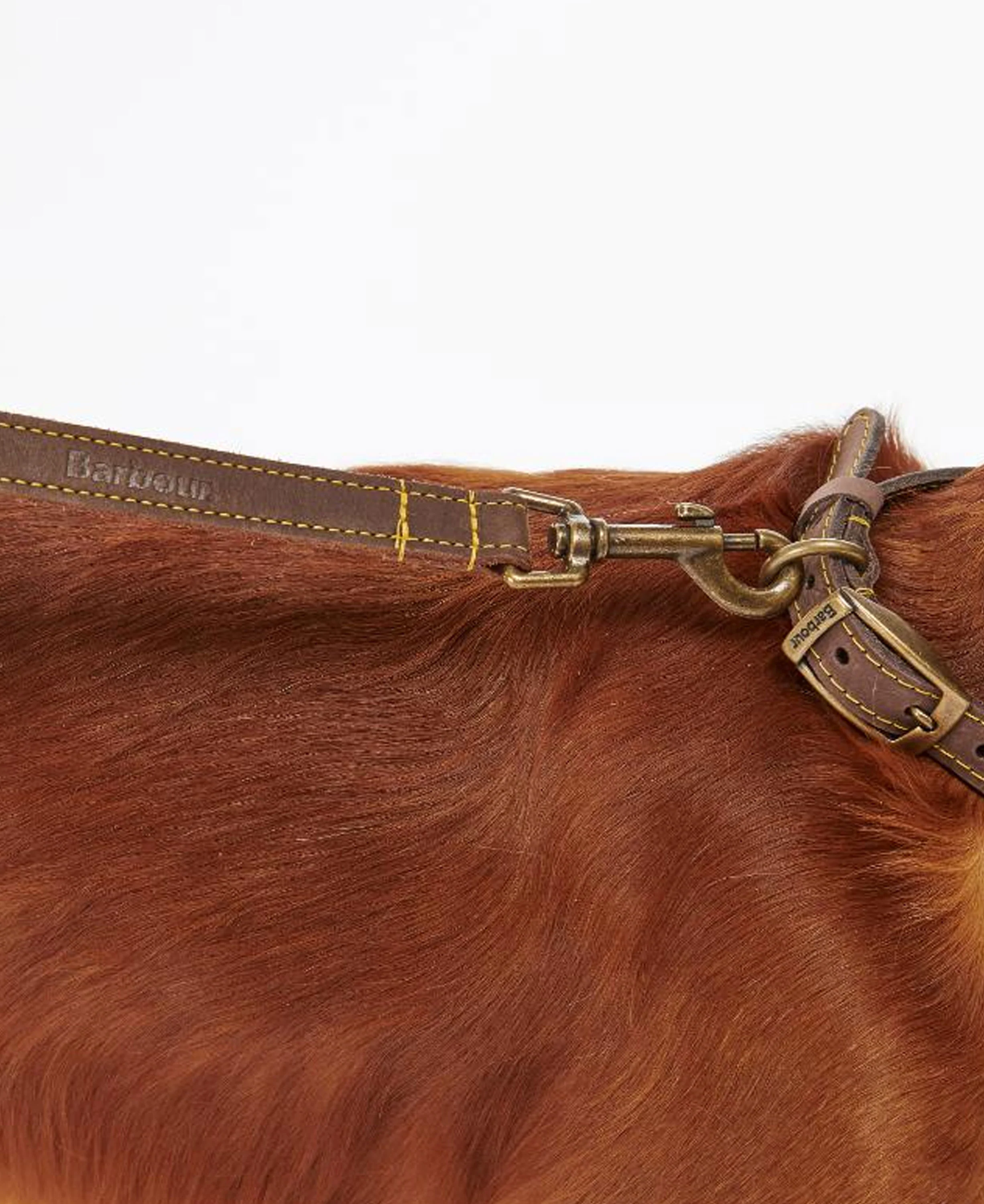 Leather Dog Lead - Brown - Image 3