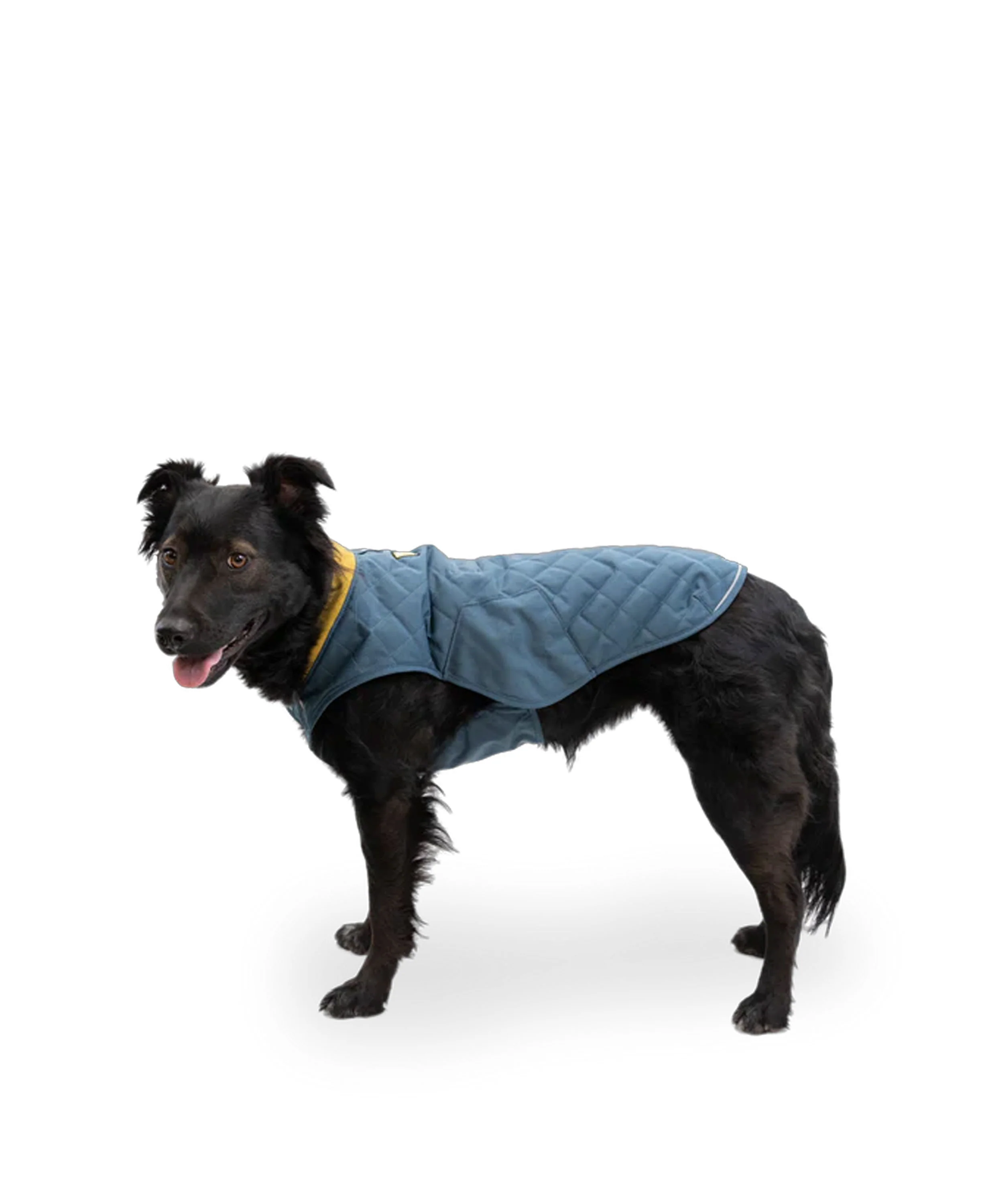 Stumptown Jacket - Orion Blue - Image 2