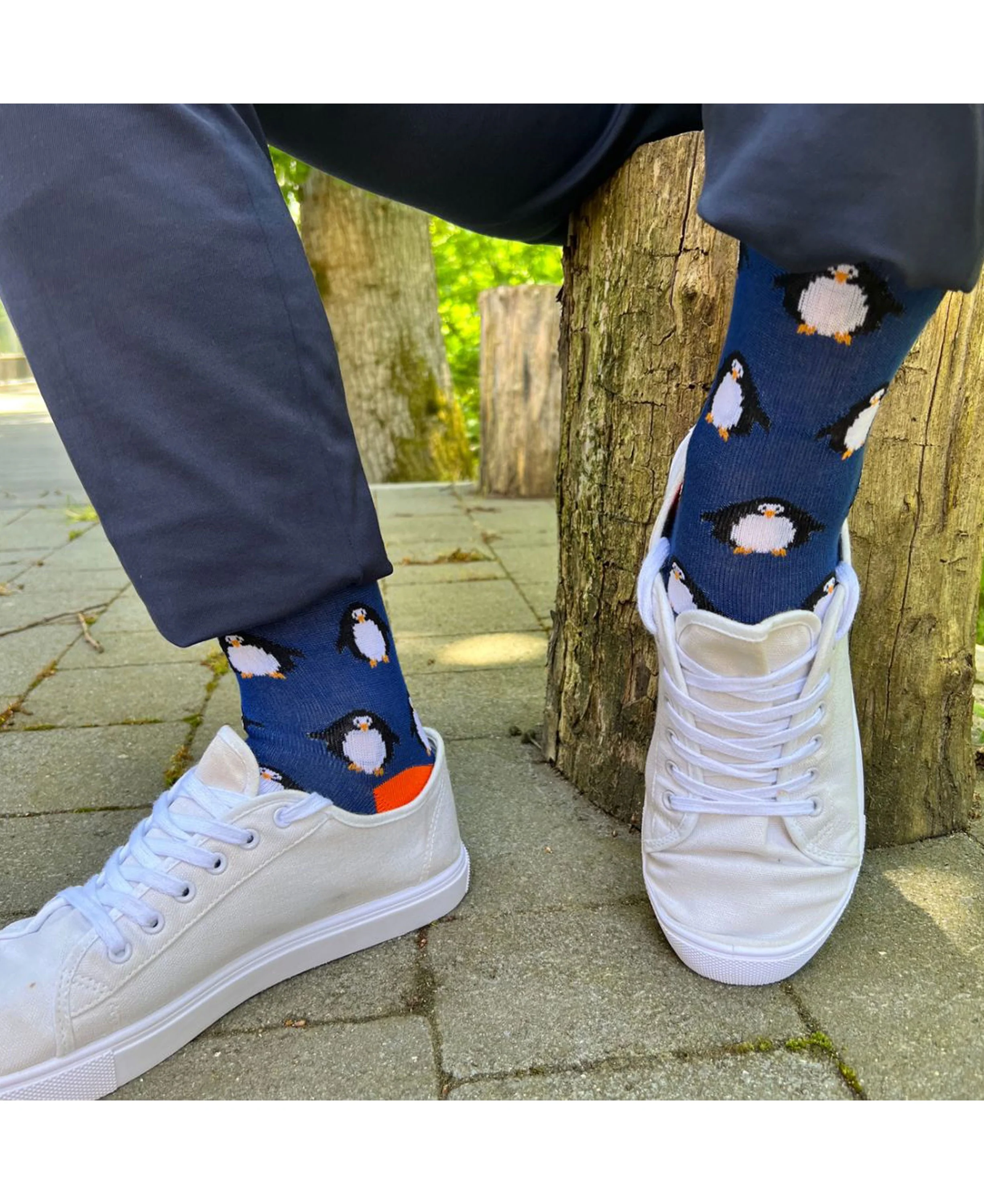 Patterned Socks - Navy Penguin - Image 2