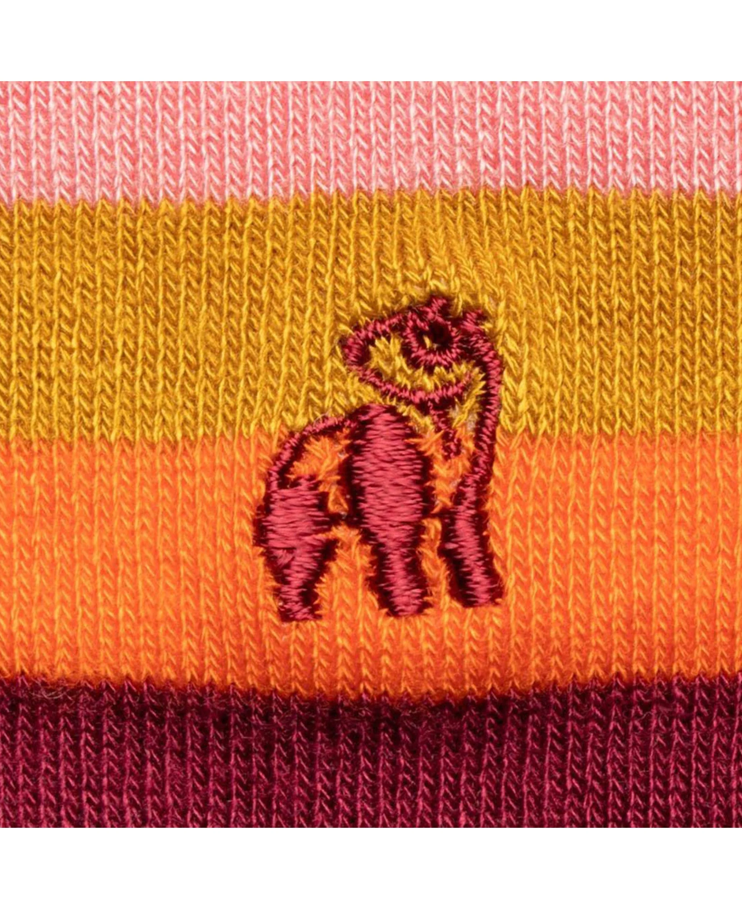 Striped Socks - Multi Coloured Fine Stripe - Image 3